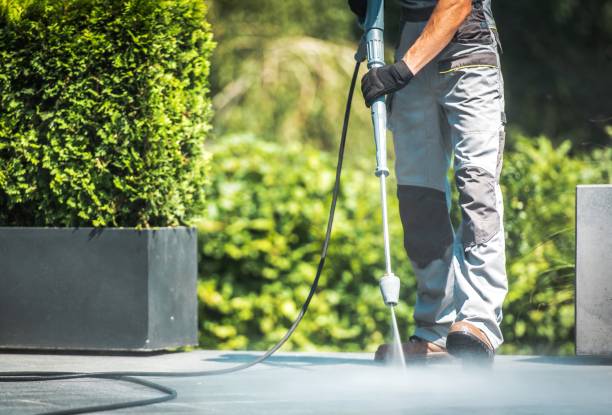 Best Driveway Pressure Washing  in Shasta, CA